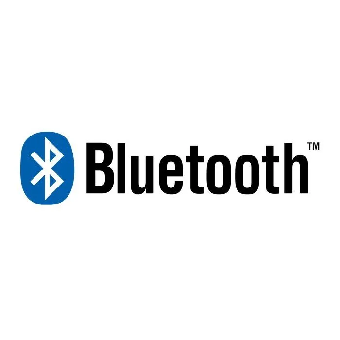 Bluetooth Logo