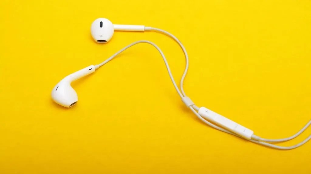 Wired Earbuds